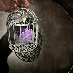 12 Small birdcages and flowers